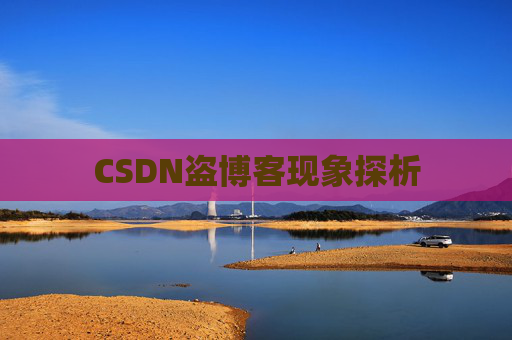CSDN盗博客现象探析 CSDN盗博客现象探析